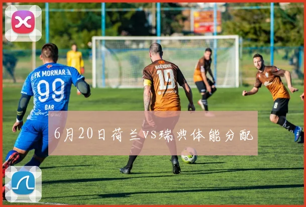 6月20日荷兰vs瑞典体能分配