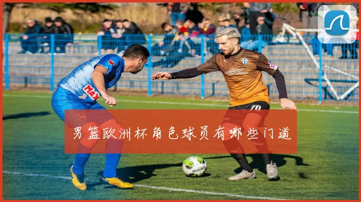男篮欧洲杯角色球员有哪些门道