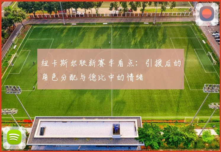 纽卡斯尔联新赛季看点：引援后的角色分配与德比中的情绪