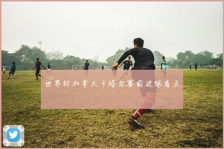 世界杯加拿大卡塔尔赛前进球看点
